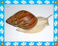 SAM_1105