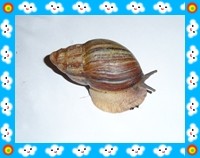 SAM_1130